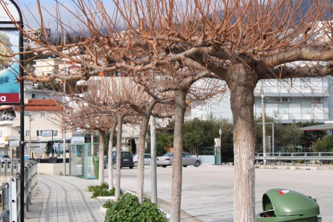 Hotel Portokali Himare Exterior photo